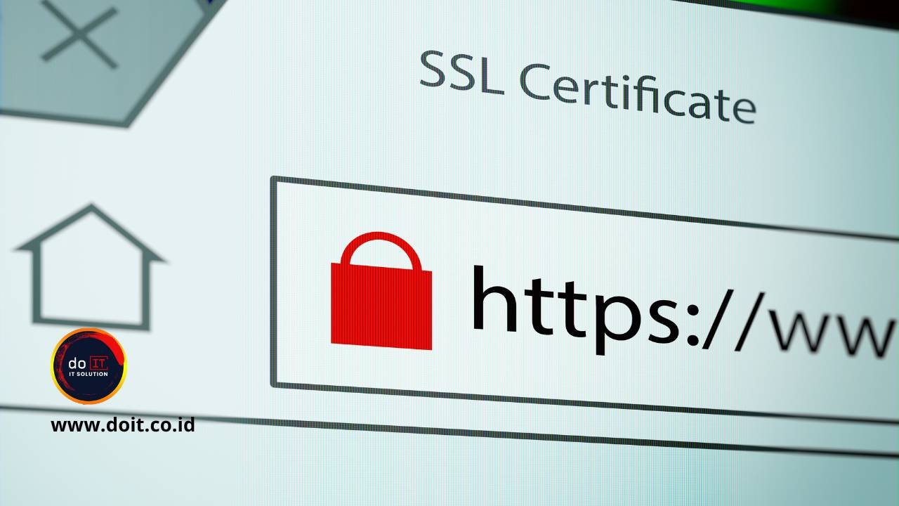 Perbedaan SSL Domain Validated (DV) Standar dan SSL Wildcard DV dari RapidSSL